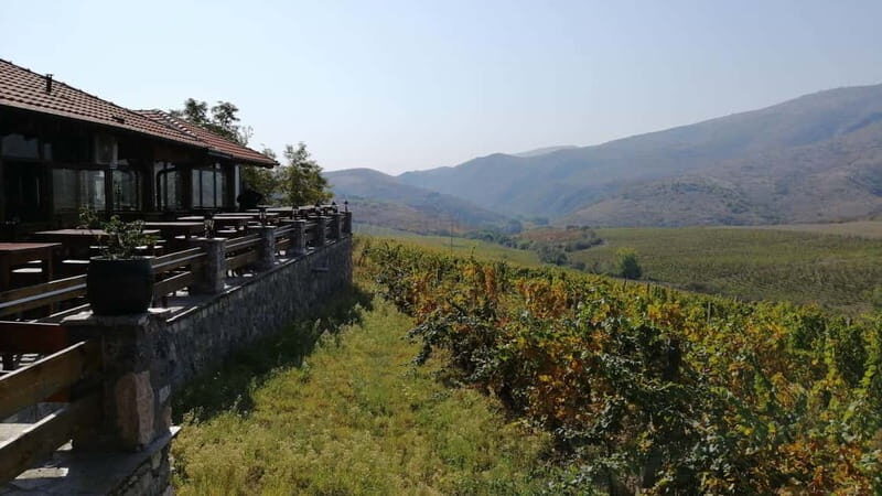 From Skopje: Private Tour of Sopot Winery with Lunch - Final Thoughts