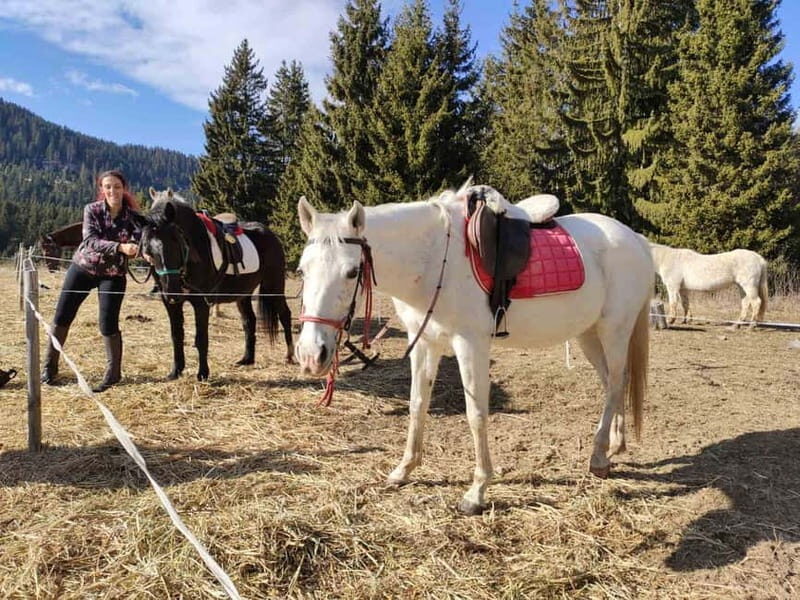 From Smolyan: Waterfalls Canyon Horseback Riding Tour - An Authentic Horseback Tour of Bulgaria’s Waterfalls Canyon
