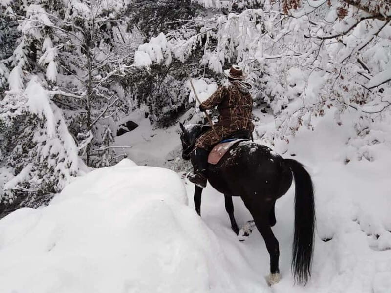 From Smolyan: Waterfalls Canyon Horseback Riding Tour - Who Should Consider This Tour?