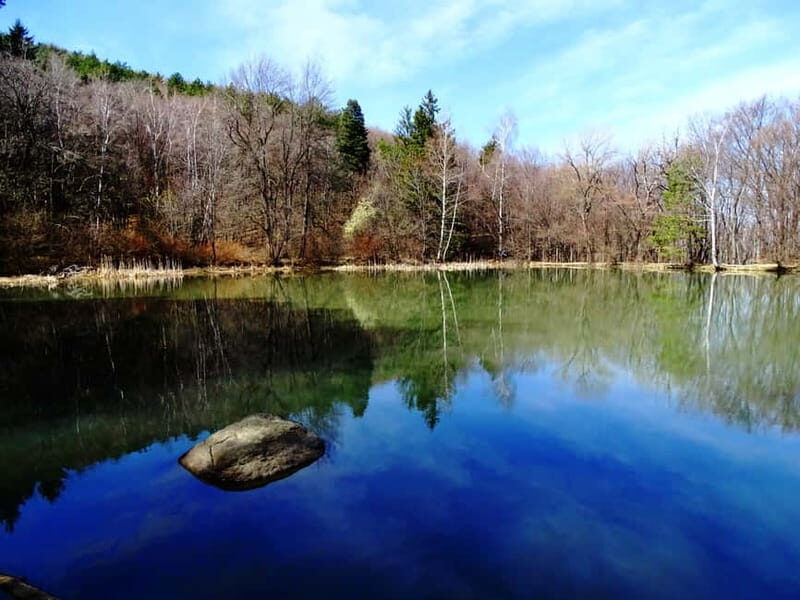 From Sofia: One-Day Tour of Vitosha Mountain - Key Points