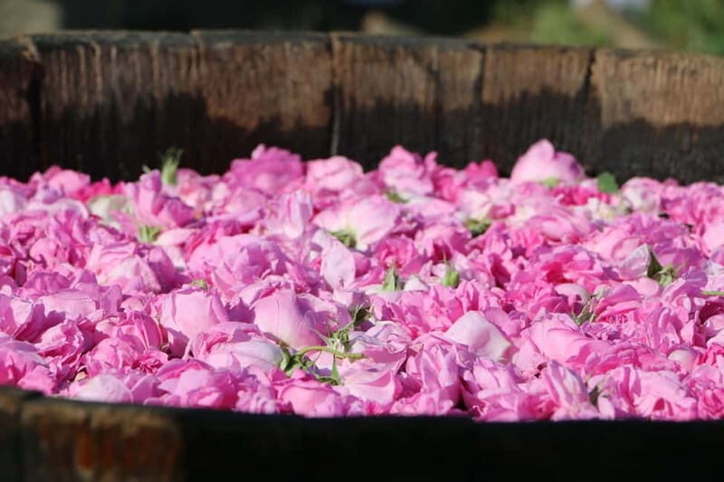 From Sofia: Rose Valley Tour & UNESCO Site Kazanlak - An In-Depth Look at the Tour Experience