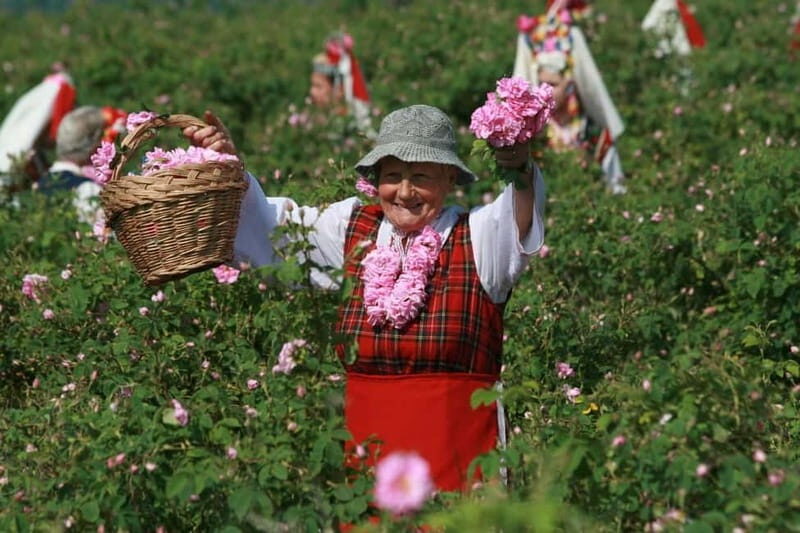 From Sofia: The Rose Valley & Koprivshtitsa 12 hrs Day Tour - What Real Travelers Say