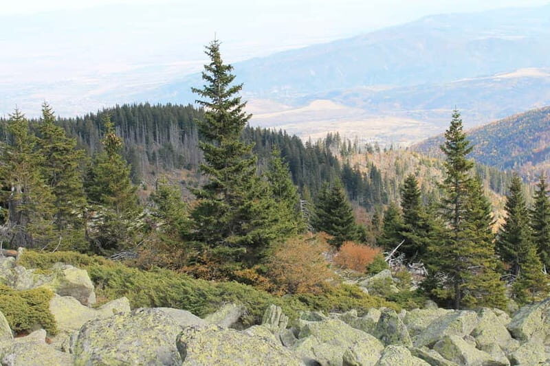 From Sofia: Vitosha Mountain and Pancharevo Lake - Key Points