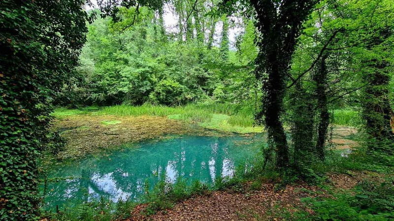 From Sofia: Zlatna Panega River Hike with Springs Visit - A Detailed Look at the Zlatna Panega River Hike Tour  