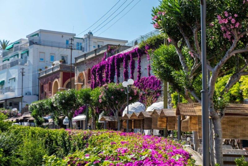 from-sorrento-capri-anacapri-blue-grotto-full-day-trip