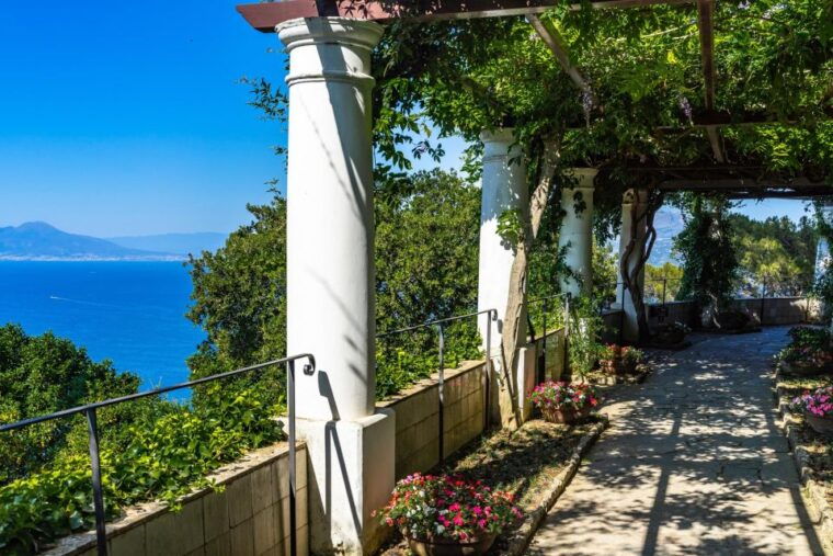 from-sorrento-capri-blue-grotto-positano-private-tour