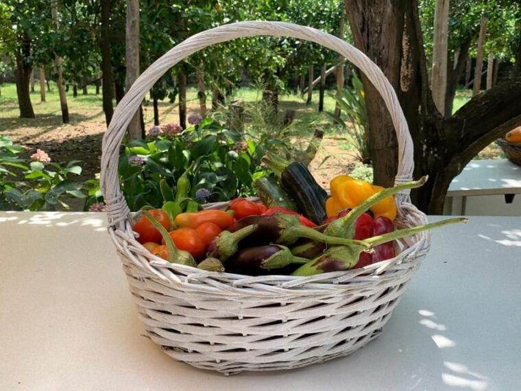 from-sorrento-cooking-class-in-lemon-grove
