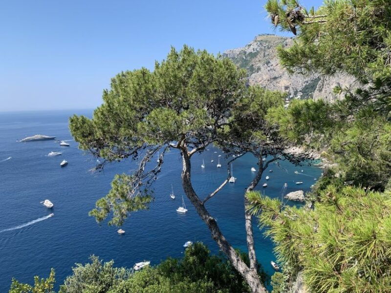 from-sorrento-day-trip-to-capri-anacapri-with-blue-grotto