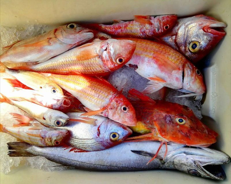 from-sorrento-fishing-in-capri-with-lunch
