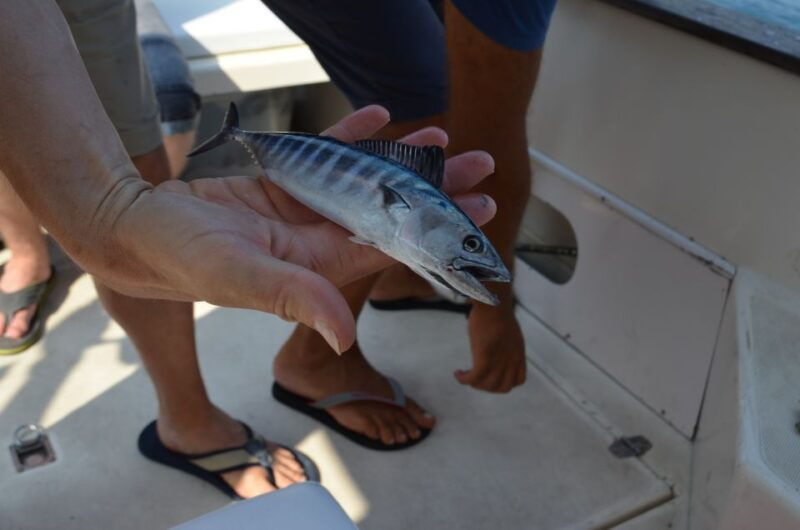 from-sorrento-fishing-in-capri-with-lunch