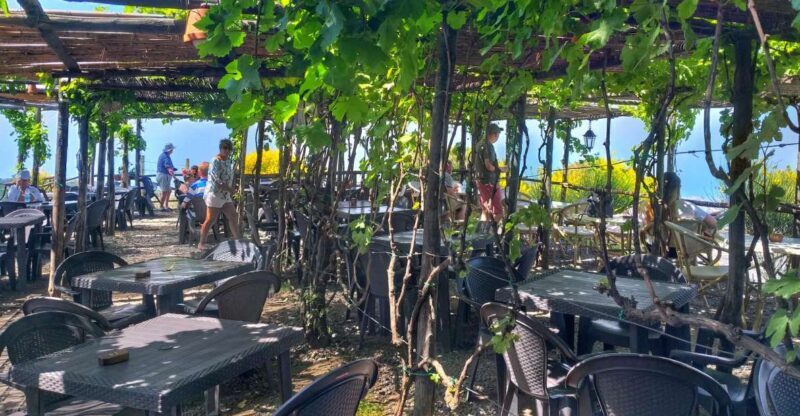From Sorrento: Mount Vesuvius Tour with Lunch & Wine Tasting - Authentic Insights from Reviewers
