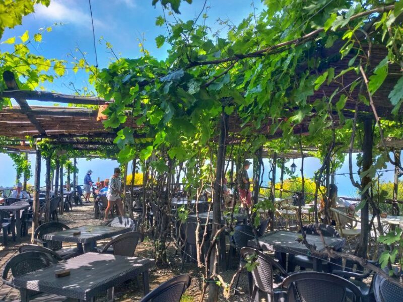 From Sorrento: Mount Vesuvius Tour with Lunch & Wine Tasting - FAQs