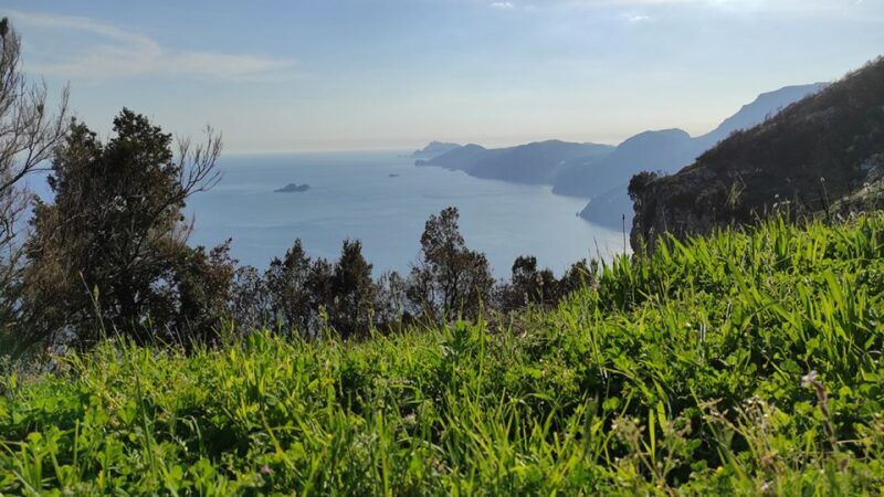from-sorrento-path-of-the-gods-hike-with-tasting-stop