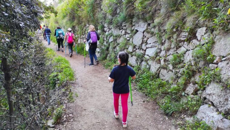 from-sorrento-path-of-the-gods-hike-with-tasting-stop
