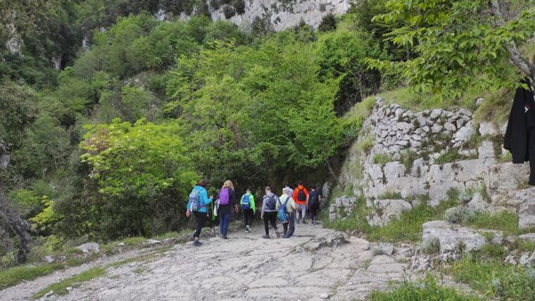 from-sorrento-path-of-the-gods-hike-with-tasting-stop