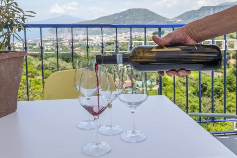 from-sorrento-pizza-making-class-w-view-of-mount-vesuvius