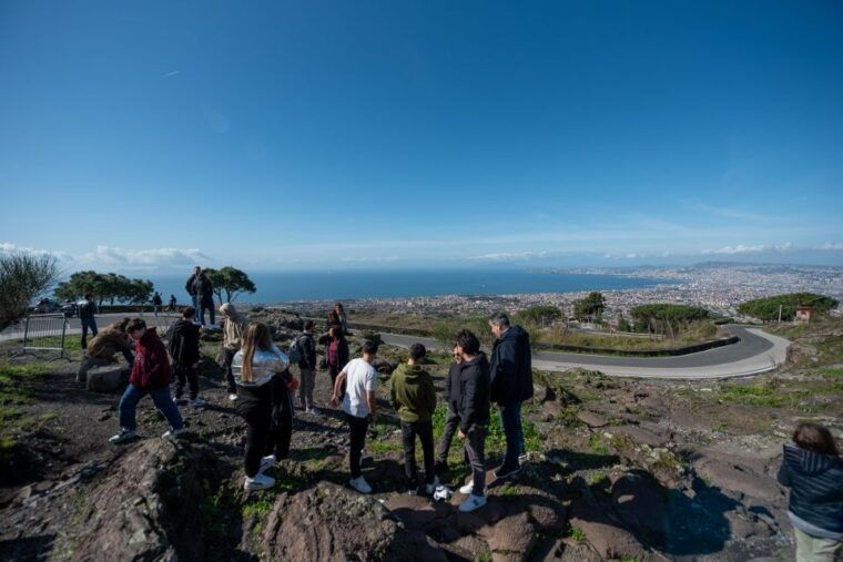 from-sorrento-pompeii-and-vesuvius-guided-tour-with-lunch