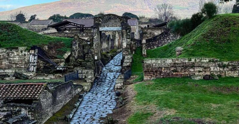 from-sorrento-pompeii-and-vesuvius-skip-the-line-tour
