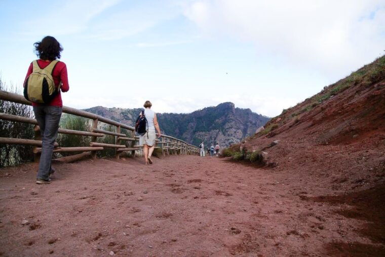 from-sorrento-pompeii-and-vesuvius-tour