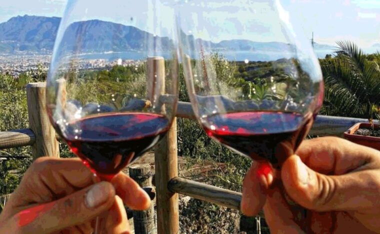 from-sorrento-pompeii-mt-vesuvius-tour-with-easy-lunch