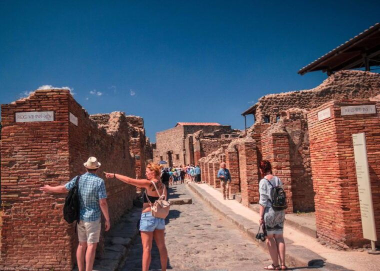 from-sorrento-pompeii-ruins-all-inclusive-guided-tour