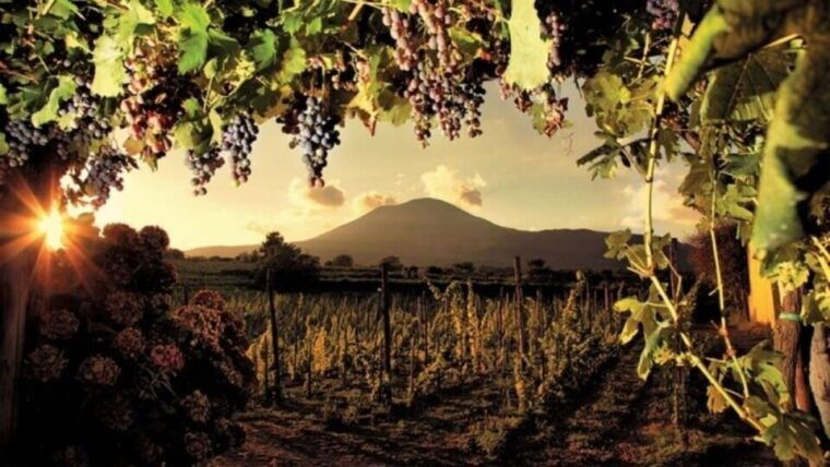 from-sorrento-pompeii-vesuvius-skip-the-line