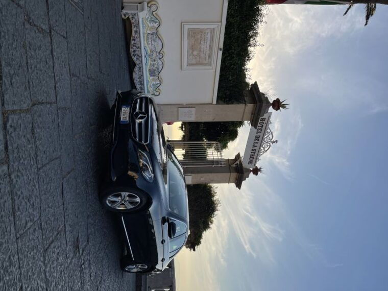 from-sorrento-pompeii-wine-tasting-private-tour-by-car
