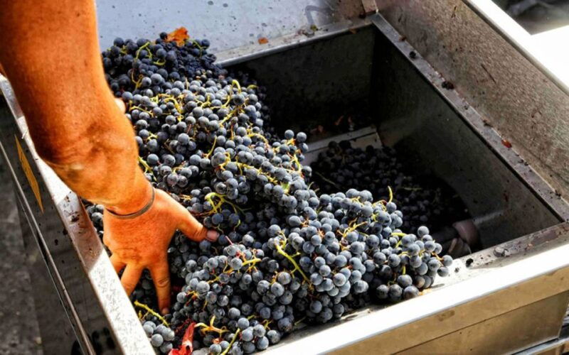from-sorrento-winery-tour-tasting-lunch