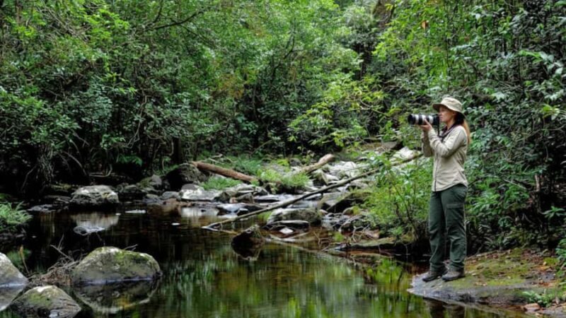From South Coast: Sinharaja Rainforest Day Trip - A Deep Dive into the Experience