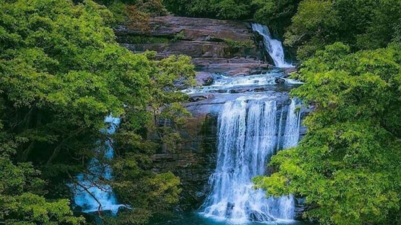 From South Coast: Sinharaja Rainforest Day Trip - Why This Tour Is Best For