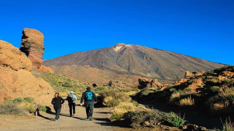 From South Tenerife: Half-Day Tour to Mount Teide - Who Would Love This Tour?