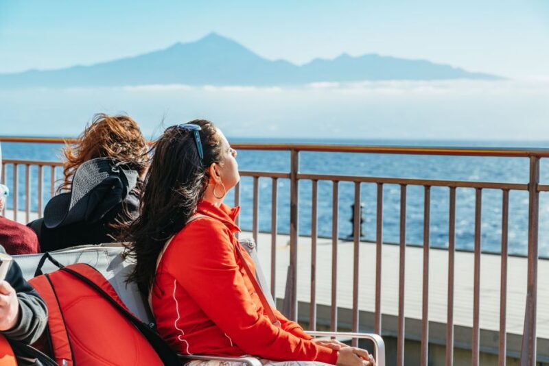 from-south-tenerife-la-gomera-island-day-trip-with-lunch