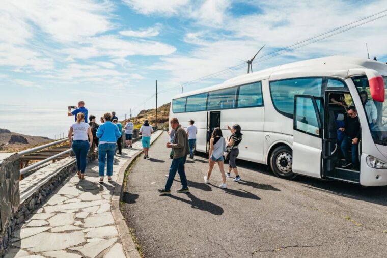 from-south-tenerife-la-gomera-island-day-trip-with-lunch
