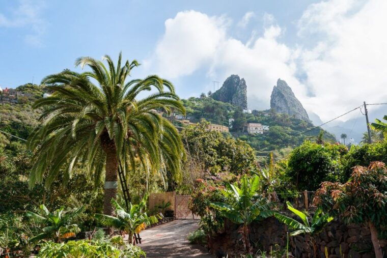 from-south-tenerife-la-gomera-island-day-trip-with-lunch