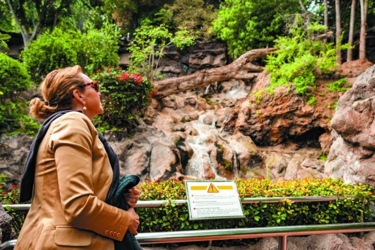 from-south-tenerife-loro-park-zoo-ticket-hotel-transfers