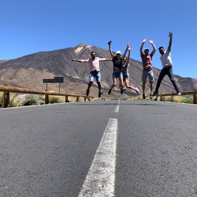 from-south-tenerife-teide-national-park-tour