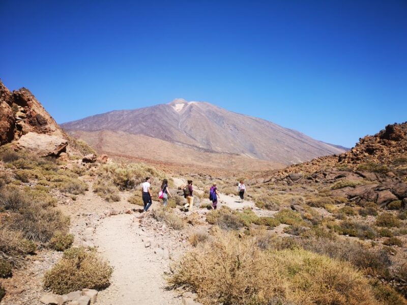 from-south-tenerife-teide-national-park-tour