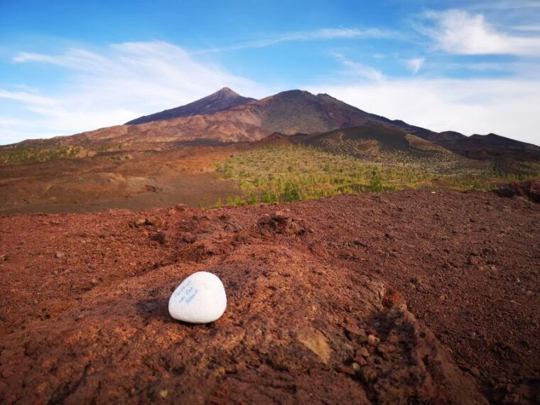 from-south-tenerife-teide-national-park-tour