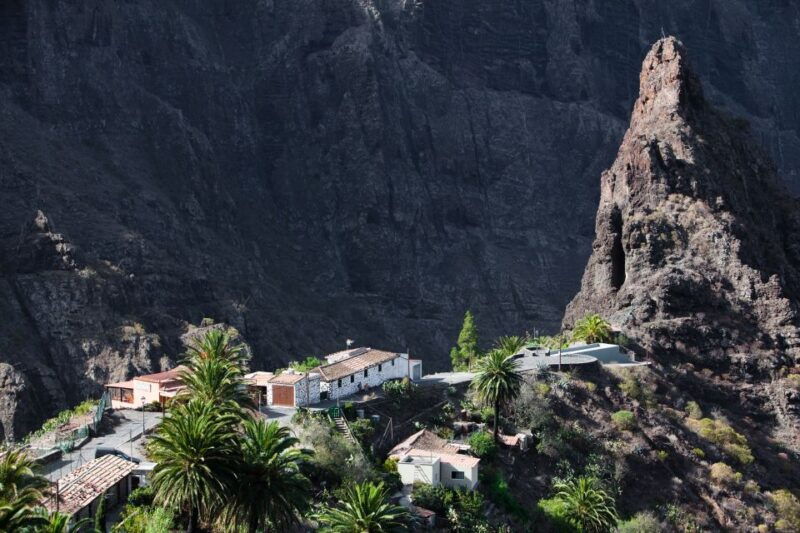 from-south-tenerife-vip-grand-tour-tenerife-island