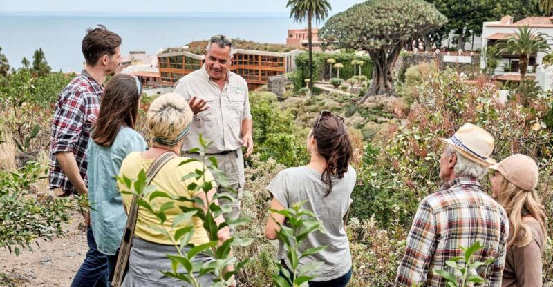 from-south-tenerife-vip-grand-tour-tenerife-island