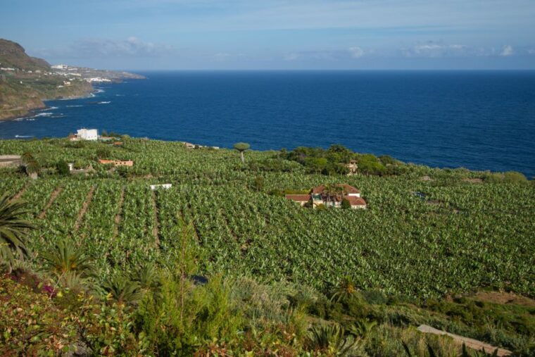 from-south-tenerife-vip-grand-tour-tenerife-island