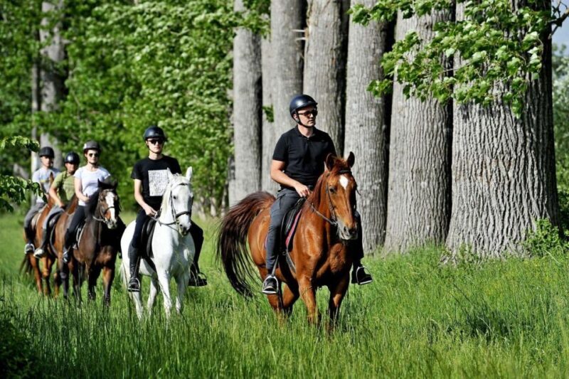 From Split: All-Inclusive Horse Riding and Jeep Exploration - The Practicalities: What to Know  