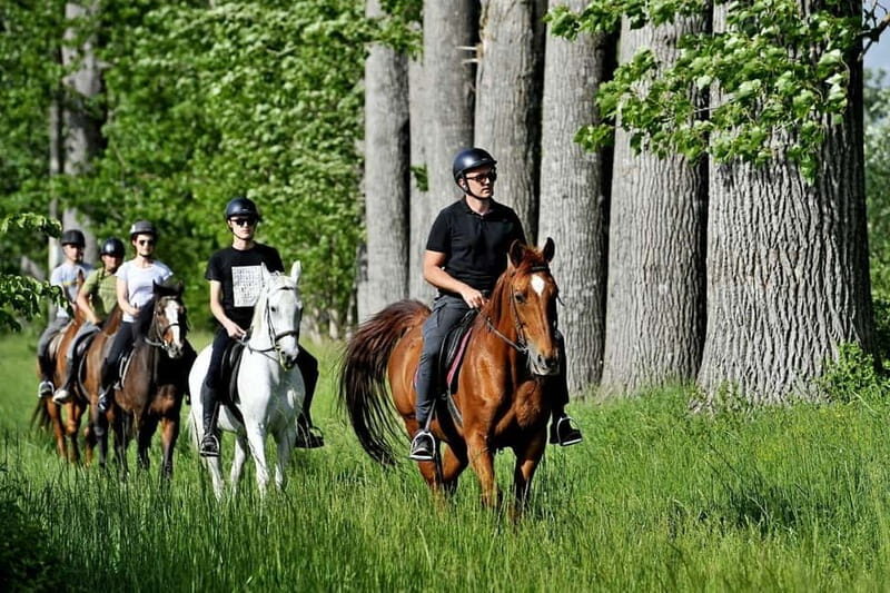 From Split: All-Inclusive Horse Riding and Jeep Exploration - Final Thoughts: Who Will Appreciate This Tour?  