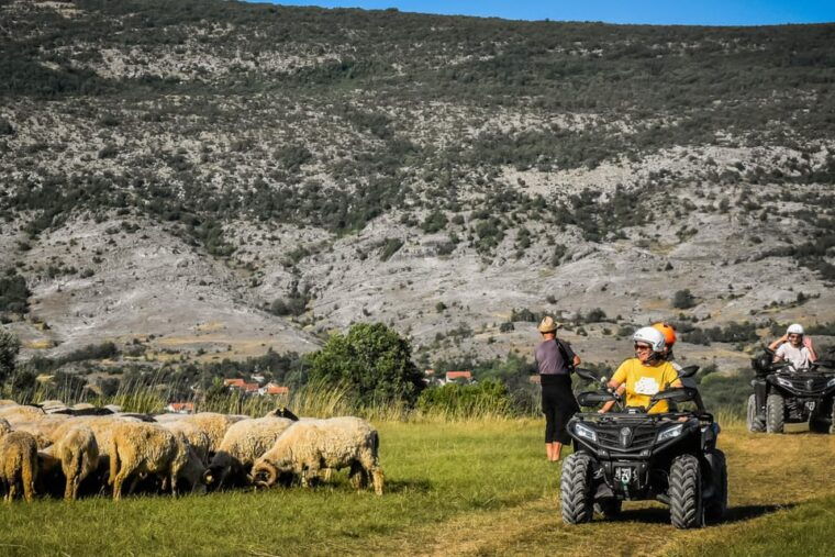 from-split-atv-dinara-mountain-tour-with-picnic