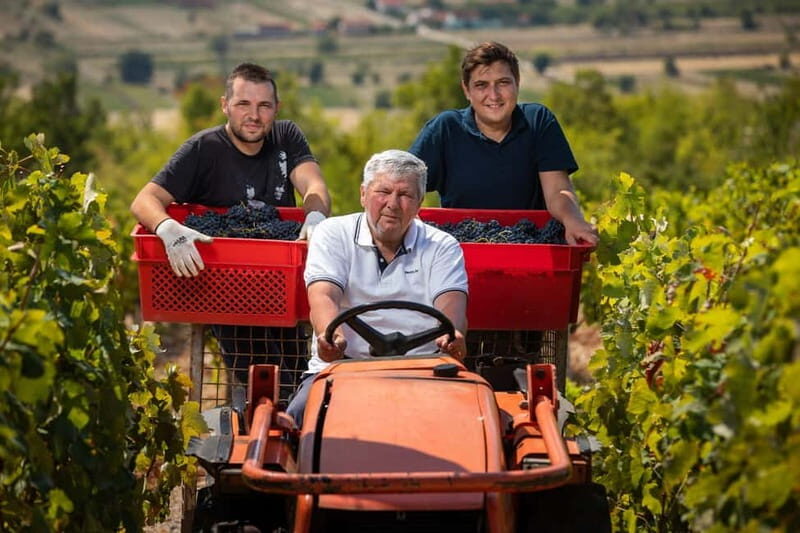 From Split: Blue and Red Lakes and Winery Grabovac Tour - Travel logistics, group size, and overall value