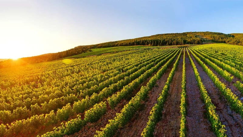 From Split: Blue and Red Lakes and Winery Grabovac Tour - Final thoughts