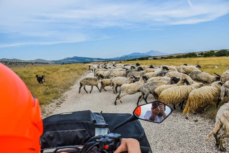 From Split: Full-Day Horse Riding & Quad Biking with Lunch - Exploring the Full-Day Horse Riding & Quad Biking Tour from Split