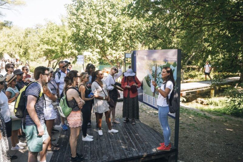 from-split-krka-waterfalls-food-wine-tasting-tour-2
