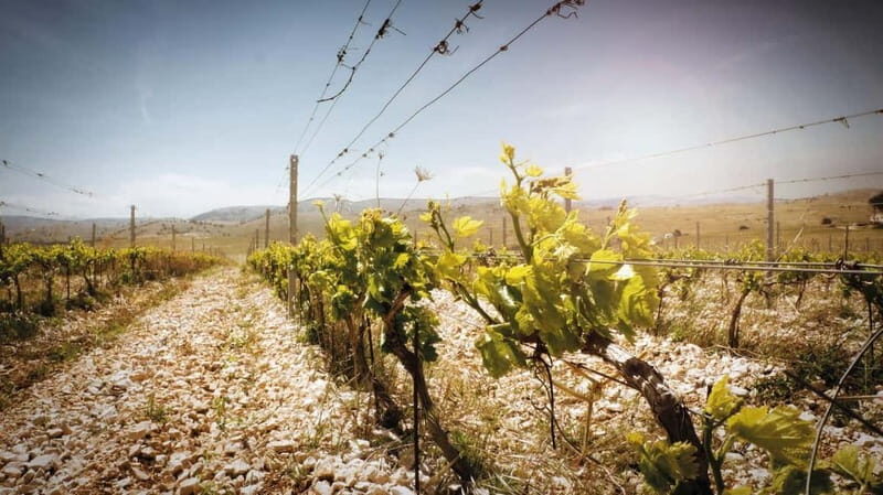 From Split: Krka Waterfalls, Primoten, and Winery Day Trip - FAQ