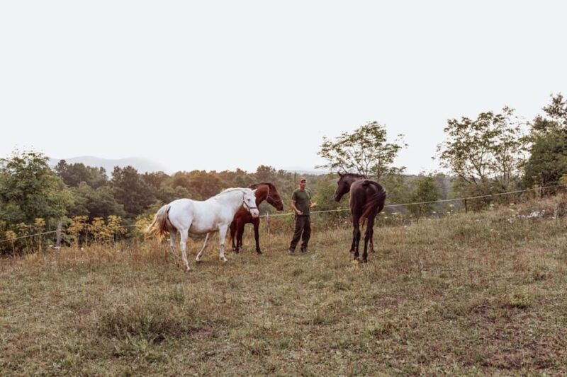 from-split-magical-plitvice-lakes-and-hidden-deer-ranch